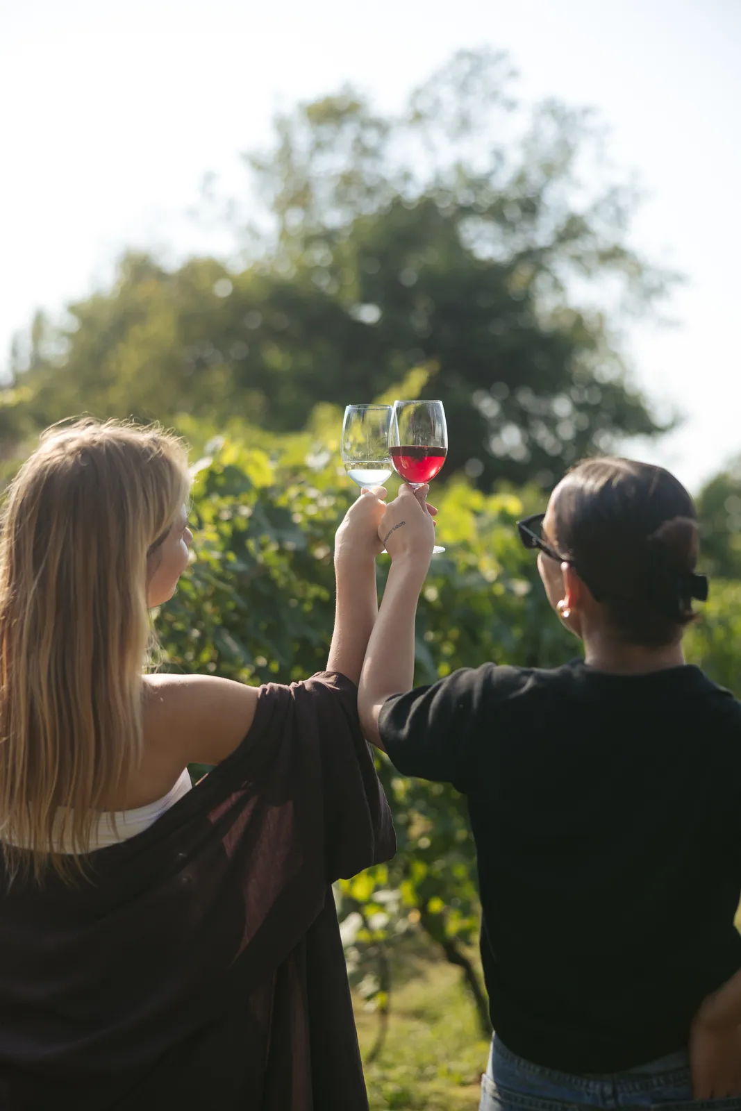 Wine routes