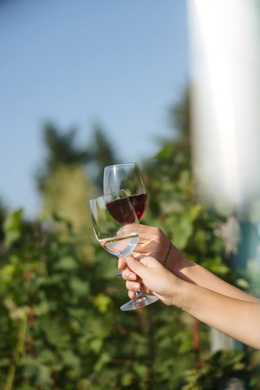 Qvevri: why Georgians make wine in buried clay jars
